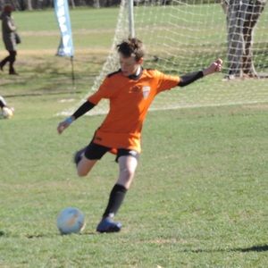 Meet your Posher, Darcy